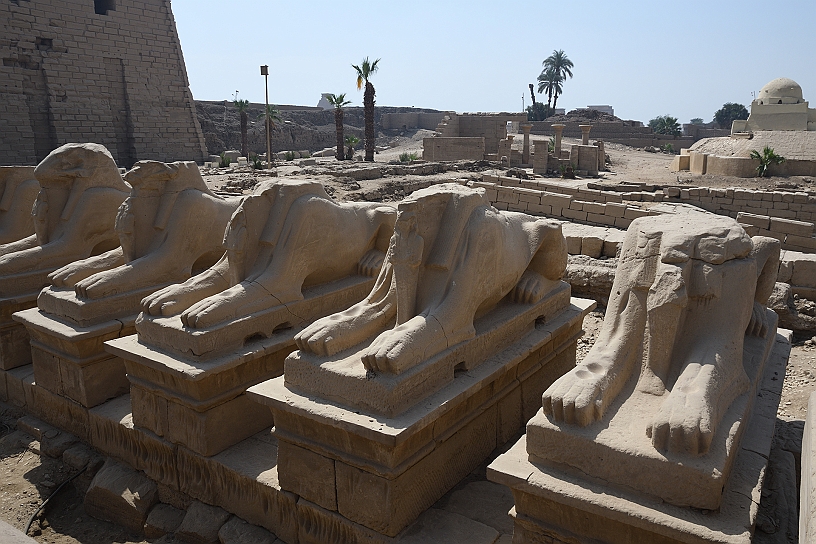 07 MAK_6088.jpg - A destra, dietro le sfingi, la piccola moschea di Abu al-Hajjaj che sorge all'interno del Grande Cortile di Ramses II direttamente sopra le rovine del tempio faraonico.